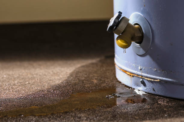 Best Basement water damage restoration  in Timmonsville, SC