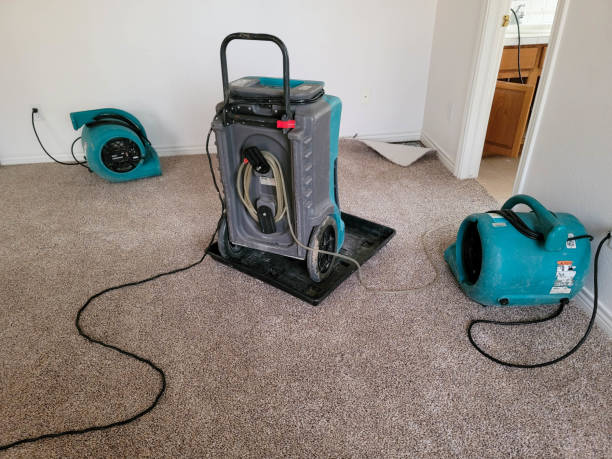 Best Commercial water damage restoration  in Timmonsville, SC