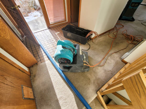 Professional Water damage restoration in Timmonsville, SC
