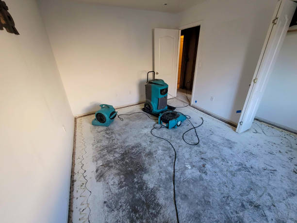 Best Fire Damage Restoration  in Timmonsville, SC