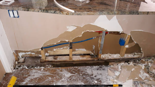 Best Water damage restoration specialists  in Timmonsville, SC