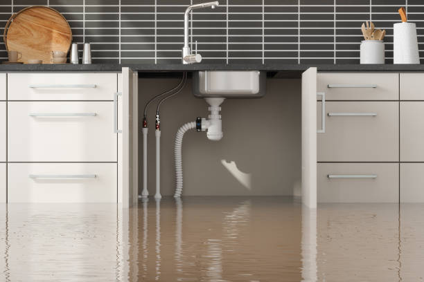 Best Commercial water damage restoration  in Timmonsville, SC