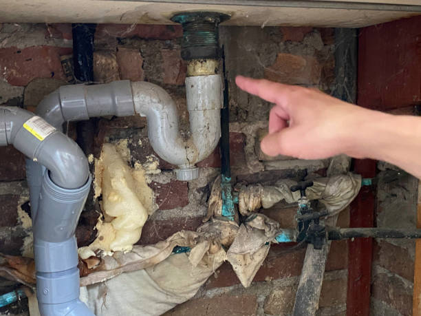 Best 24/7 water damage repair  in Timmonsville, SC
