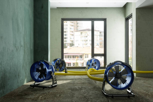 Best Water damage restoration near me  in Timmonsville, SC