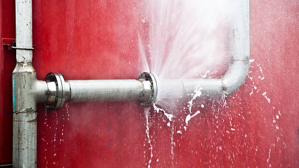 Best Sewage cleanup and water damage restoration  in Timmonsville, SC